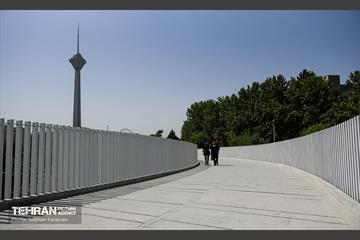 پل تندرستی 14