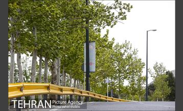 پارک ملی سرخه‌حصار 3