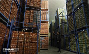 بازدید اصحاب رسانه از زنجیره تامین محصولات مصرفی ماه رمضان و میوه شب عید 42