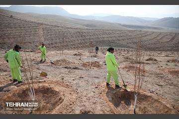 نشست خبری معاون خدمات شهری و محیط زیست 7