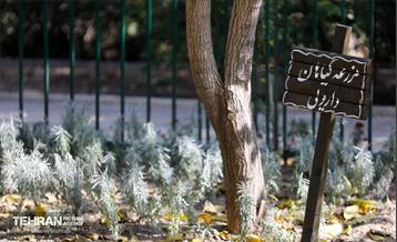 افتتاح پروژه‌های منطقه ۱۴ 14