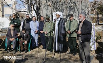 آیین کاشت 1310 نهال در منطقه 5 30