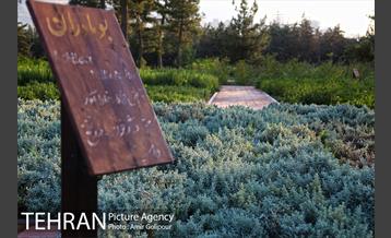 باغ راز هستی 11