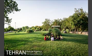 شهرنگار؛ بوستان قائم 15