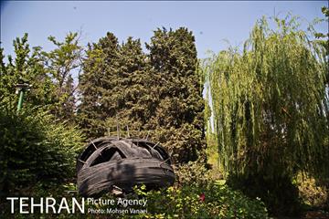 بوستان نیاوران 17