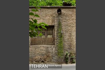 پنجره های شهر تهران 7