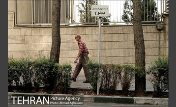 یوسف آباد، بی باغ و بی آسیاب 16