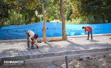 بازدید پرویز سروری از منطقه 17