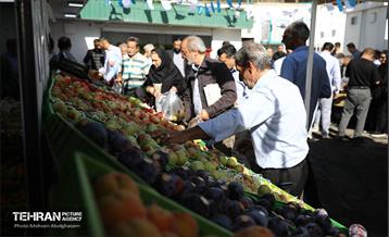 افتتاح ۲ بازار میوه و تره‌بار در تهران 10