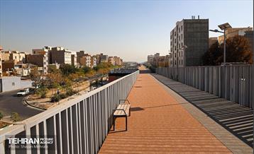 به وقت خدمت؛ باغ‌راه حضرت زهرا(س) محدوده آیت الله سعیدی 3