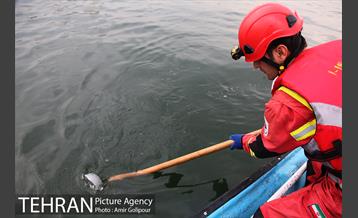 سقوط بالگرد در دریاچه شهدای خلیج فارس