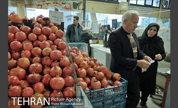 میدان میوه وتره بار شهید غیبی شهرری 29