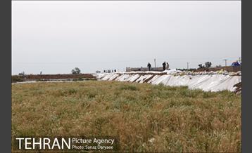 بازدید شهردار تهران از منطقه سیل زده پل سبحانیه دشت آزادگان 13
