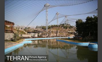 افتتاح پروژه های شهرداری منطقه ۴ 24