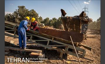 تولید کود کمپوست در پارک جنگلی آزادشهر 11