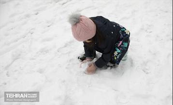 روز برفی تهران - 2 43