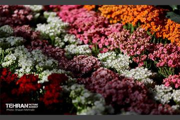 بیستمین نمایشگاه بین‌المللی گل و گیاه 48