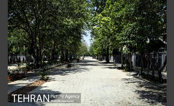 مراحل آماده سازی گذر پیاده راه استاد شهریار 4