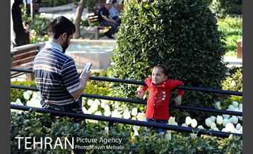 رویش گل های لاله در باغ ایرانی 46