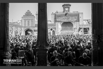تجلی «حب‌الحسین یـجمعنا» 13
