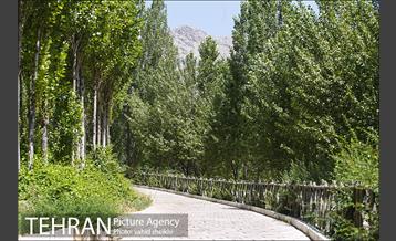 بوستان تندرستی 6