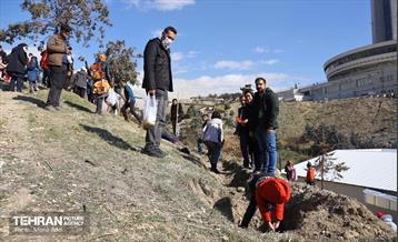 آیین کاشت گیاهان بومی پایتخت در برج میلاد 9