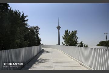 پل تندرستی 11
