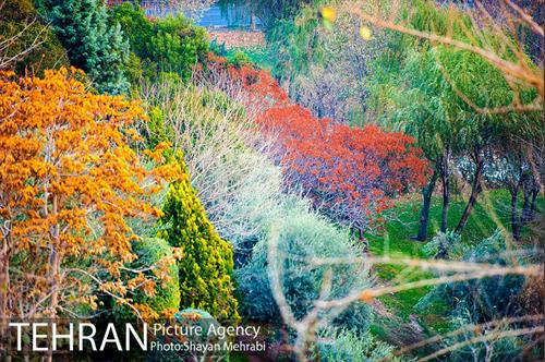 پاییز اراضی عباس آباد 28