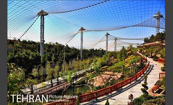 فصل بهار در بوستان های منطقه 4 6