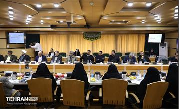 بازدید کمیسیون برنامه و بودجه شورای شهر از پروژه‌های منطقه 4 16