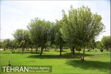 بوستان پردیس بانوان 12