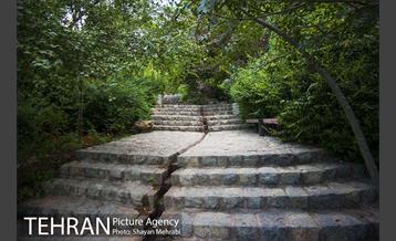 بوستان جمشیدیه 31