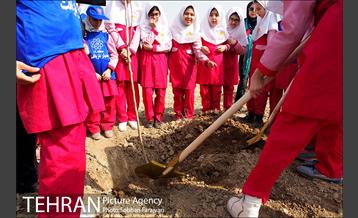 کاشت نهال در بوستان ولایت  25