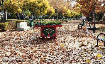 گذر پاییزی بوستان رازی 4