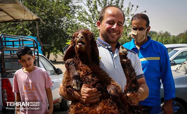 غم هایتان، قربانی شادی هایتان 20