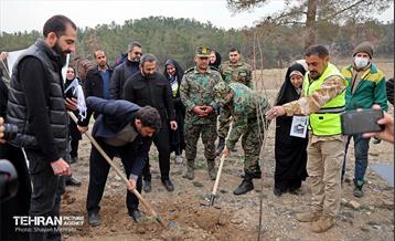 کاشت 2000 نهال مثمر در بوستان جنگلی چیتگر 15