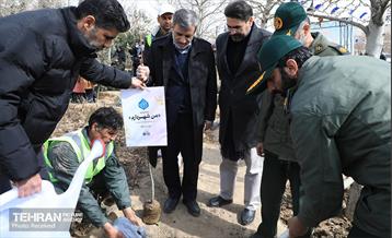 مراسم روز درختکاری در منطقه 12 12