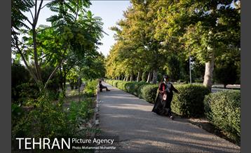 شهرنگار؛ بوستان قائم 6