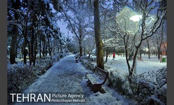 روز برفی در پارک لاله 13