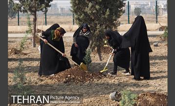 کاشت نهال در بوستان ولایت  10