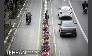استقبال از بهار در خیابانهای تهران 22