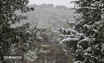 بارش برف زمستانی در بوستان سرخ حصار 14