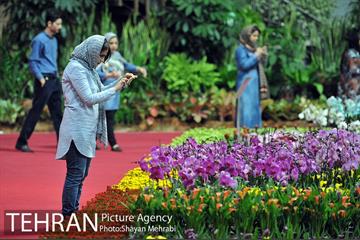 شانزدهمین نمایشگاه بین المللی گل و گیاه تهران - 2 52