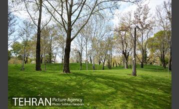 روز طبیعت متفاوت شهر تهران-1 14
