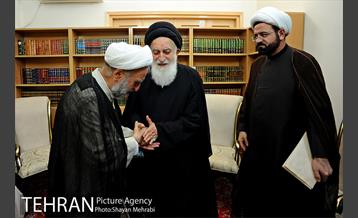 دیدار حجت‌الاسلام صادق‌زاده با تعدادی از مراجع عظام تقلید و علما در شهر مقدس قم 13