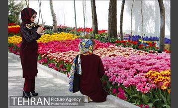 پیاده راه لاله برای مادران 5