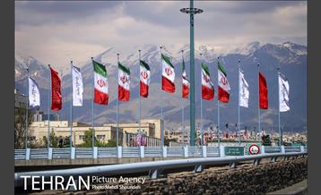 رنگ و بوی بهاری در خیابان های منطقه 7