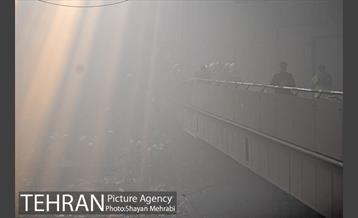 ساختمان پلاسکو فرو ریخت-2 41