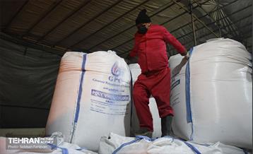 عملیات برف‌روبی در پایتخت 13