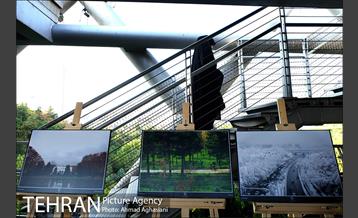 نمایشگاه “طبیعت تهران” بر روی پل طبیعت 19